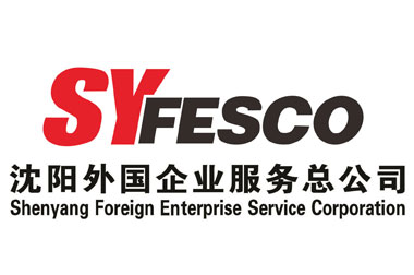 沈陽(yáng)-法蘭克福航線于3月28日全新起航