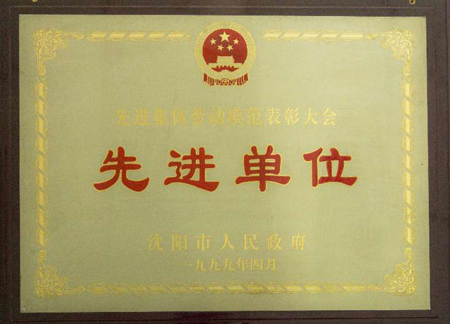 沈陽(yáng)市先進(jìn)單位